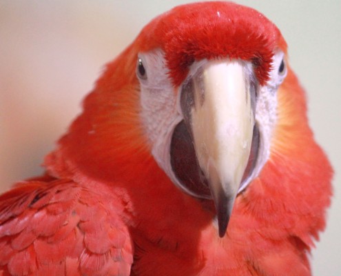 Talk TV Tier Moderation