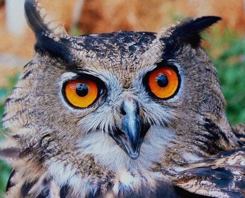 Talk TV Tier Moderation